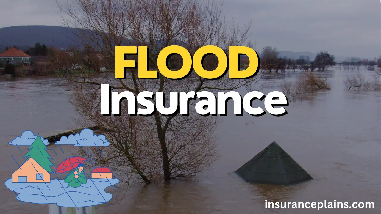 Comprehensive flood insurance guide to protect homes and businesses from flood damage.